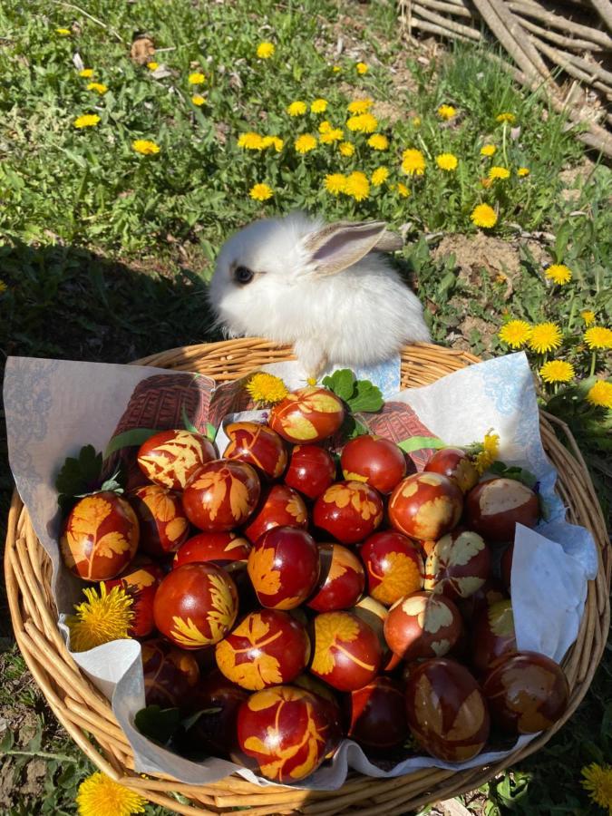 Floare De Maramures 1 Vadu Izei Ngoại thất bức ảnh