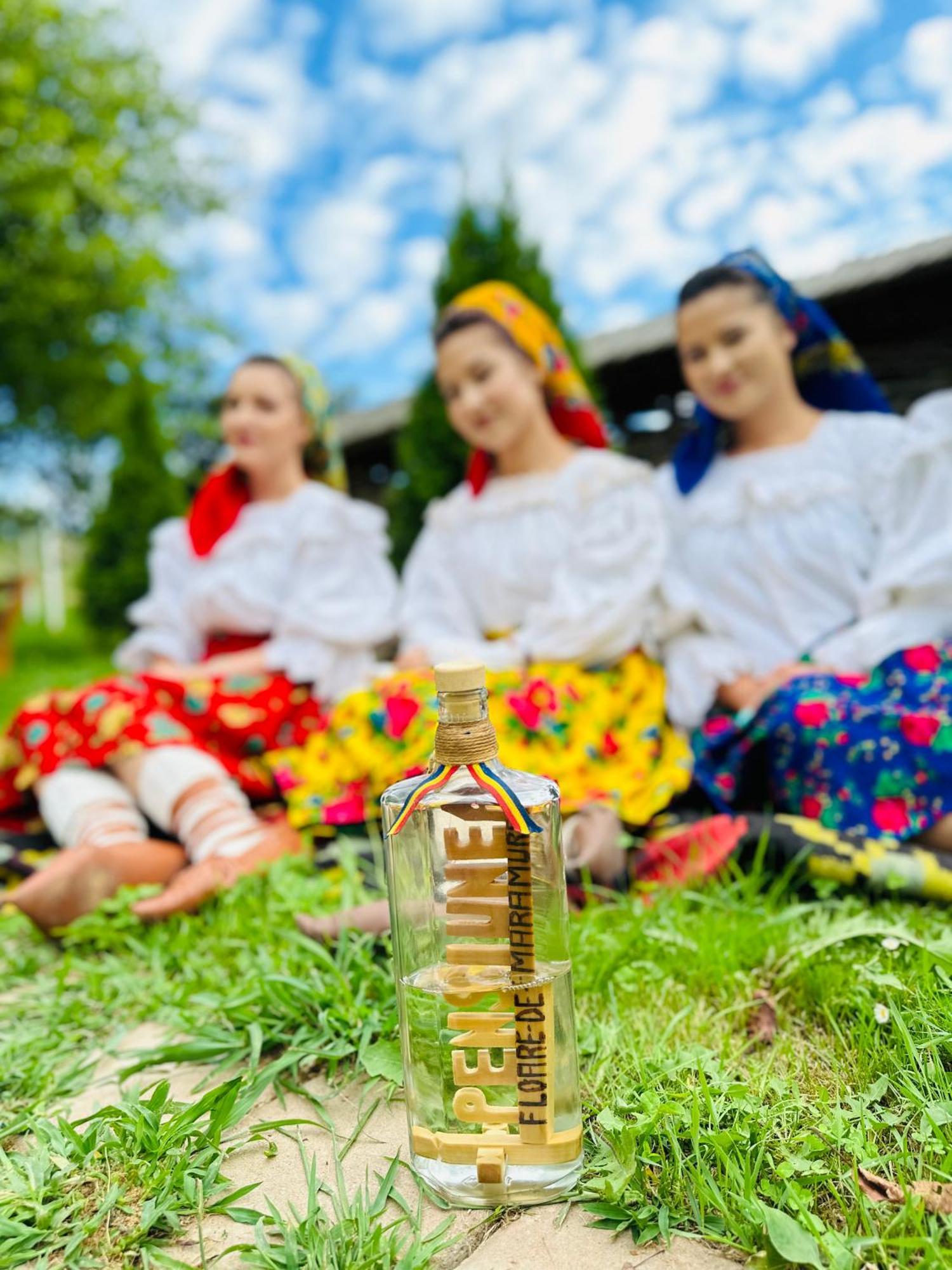 Floare De Maramures 1 Vadu Izei Ngoại thất bức ảnh
